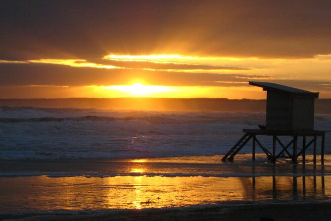 A Different Day in Cabo Polonio From Punta Del Este - Activity Highlights