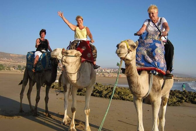 A Full-Day With Camel Riding, Jetski and Quad Biking - Transportation Information