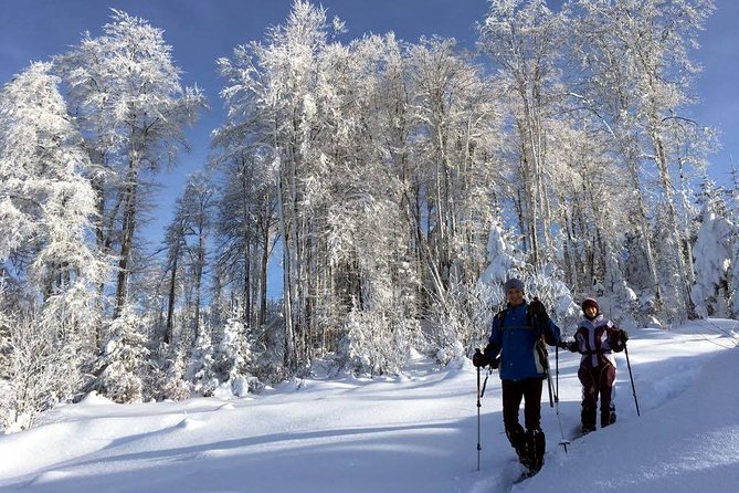 A Snowshoeing Day in Vitosha Mountains - Inclusions: Private Transportation, Snowshoes, Trekking Poles