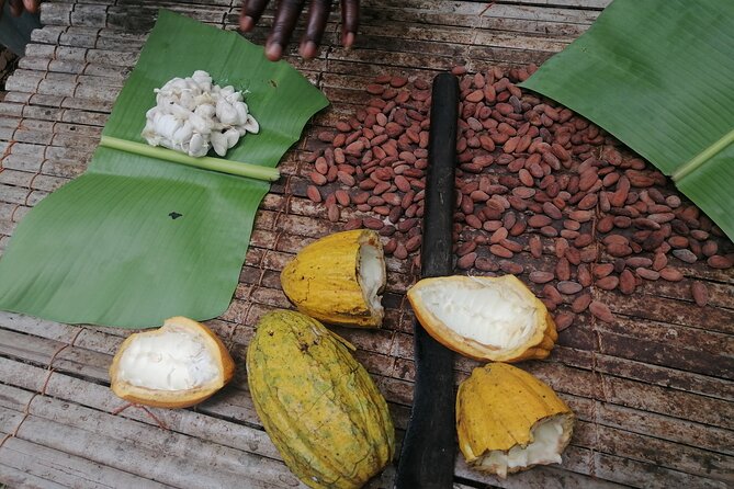 Aburi Botanical Gardens and Cocoa Farm - Private Tour - Meeting and Pickup Details