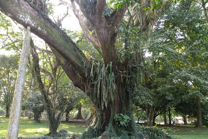 Aburi Gardens & Cocoa Tours - Tour Inclusions
