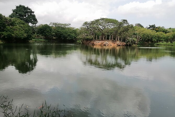 Accra Rope Course and Canopy Walk and Aburi Botanical Garden - Services Provided