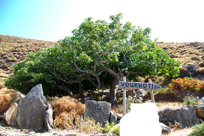 Achla Beach and Gria Lighthouse Tour - Logistics