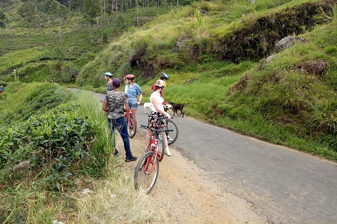 Adventure Cycling in Ella
