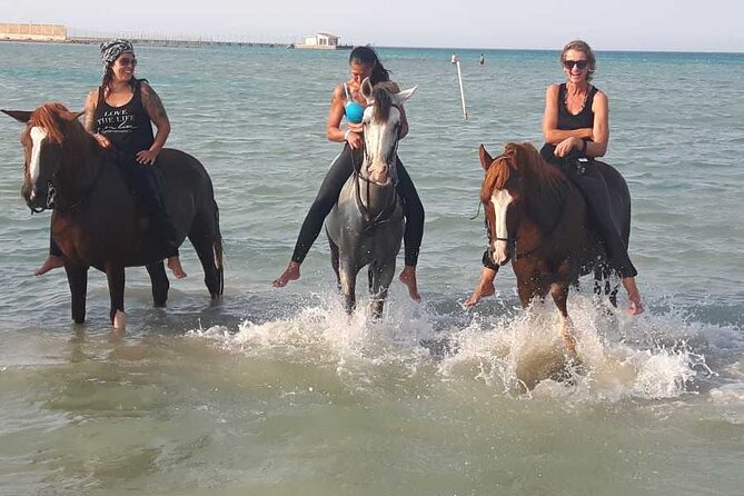 ADVENTURE SAFARI BY HORSE IN Hurghada Duiring Sunset Or Sunrise - Inclusions