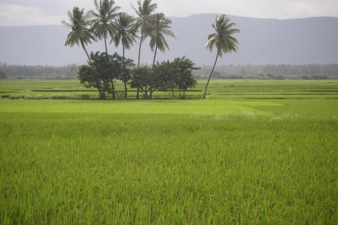 Adventurous Valparai Trip From Kochi - 2 Days Trip - Pickup and Meals