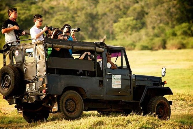 Afternoon Game Drive at Minneriya National Park - Inclusions and Exclusions