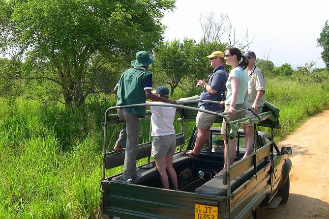 Afternoon Safari at Udawalawe National Park - Important Information for Participants