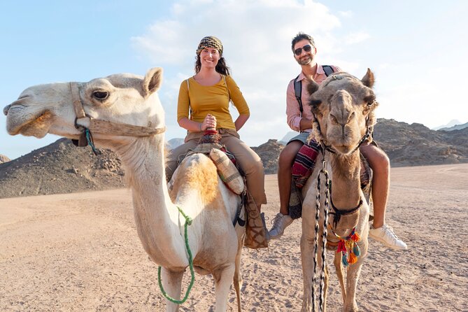 Agadir Camel Ride Experience With BBQ Include - What To Expect