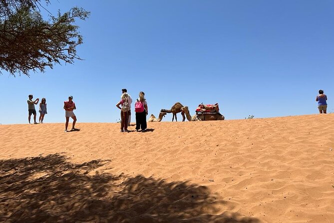 Agadir Desert Safari Day Tour With Lunch - Tour Schedule