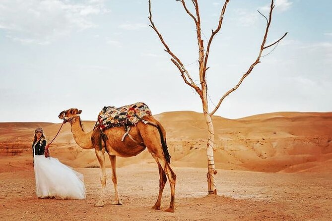 Agafay Desert and Atlas Mountains Day Tour - Cultural Immersion