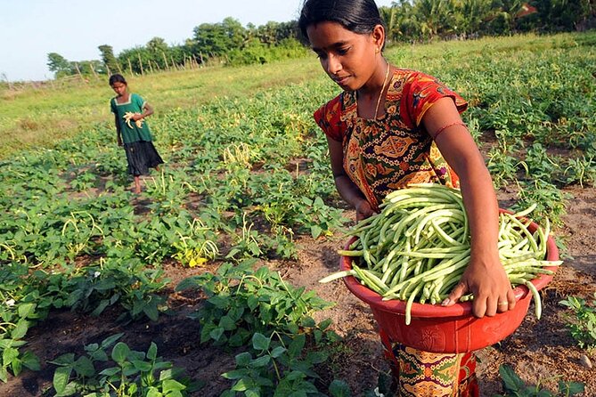 Agro Tour of Sri Lanka (5 Days) - Inclusions and Exclusions