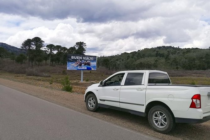 Airport - Villa Pehuenia Argentina - Transportation Options