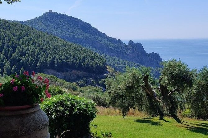 All Italy: Private Premium Transfers in Rome - Vehicle Amenities