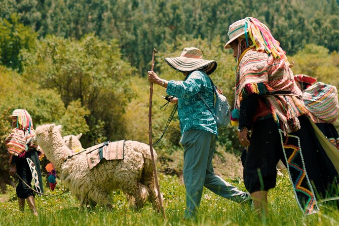 Alpaca Walk & Natural Dye Tour: A Memorable Full Day Experience - Tour Overview