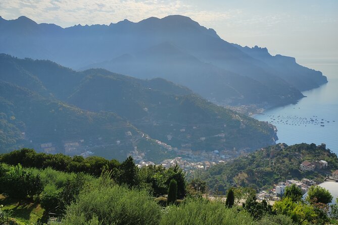 Amalfi Coast Vintage Tour With Oil Tasting in Ravello