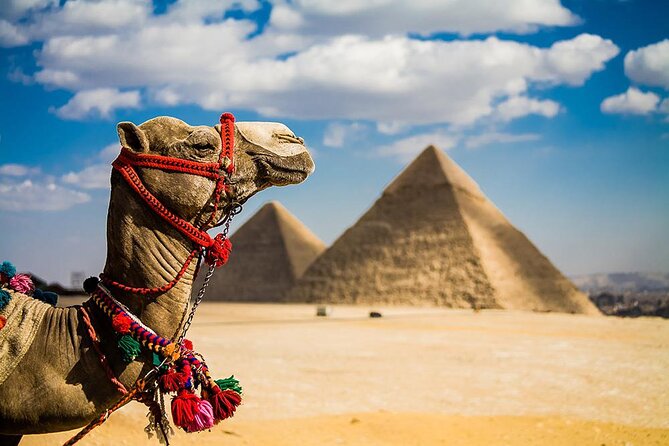 Amazing 2 Nights From Cairo Including Tours & 5 Stars Hotel - Package Inclusions