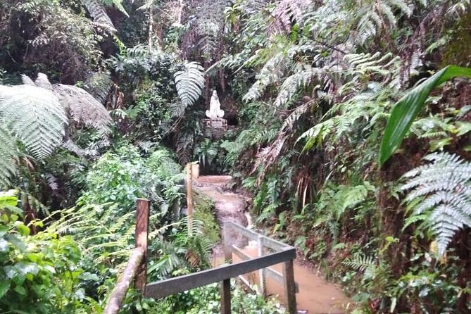 Amazing Arvi Natural Reserve Private Tour - Inclusions