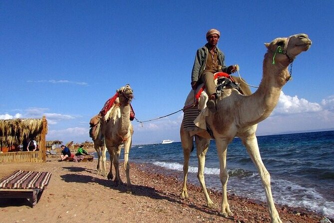 Amazing Full Day In Dahab Three Bools Desert And Sea From Sharm - Additional Charges