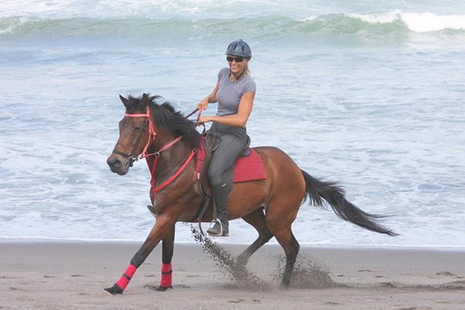 Amazing Private Tour: Horse Riding-Kintamani Volcano-Tegalalang-Tirta Empul - Meeting and Pickup Details