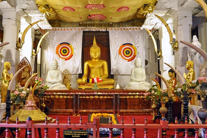 Amazing Sri Lanka ( 6N/ 7D) - Tour Details