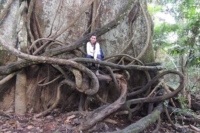 Amazon Discovery 4 Days and 3 Nights Pacaya-Samiria Reserve - Pricing and Group Size