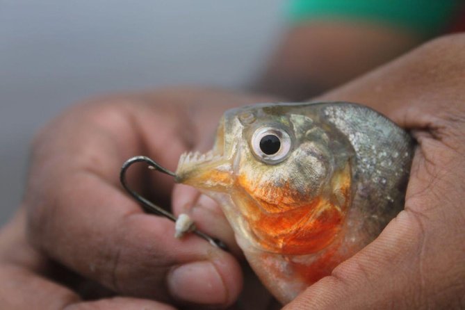 Amazon Survival Tour 6D/5N - Booking Information