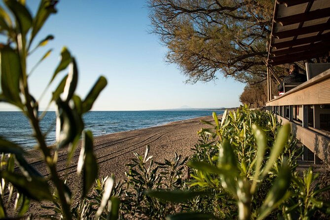 Ancient Olympia & Kourouta Beach - All Included Tour - Inclusions