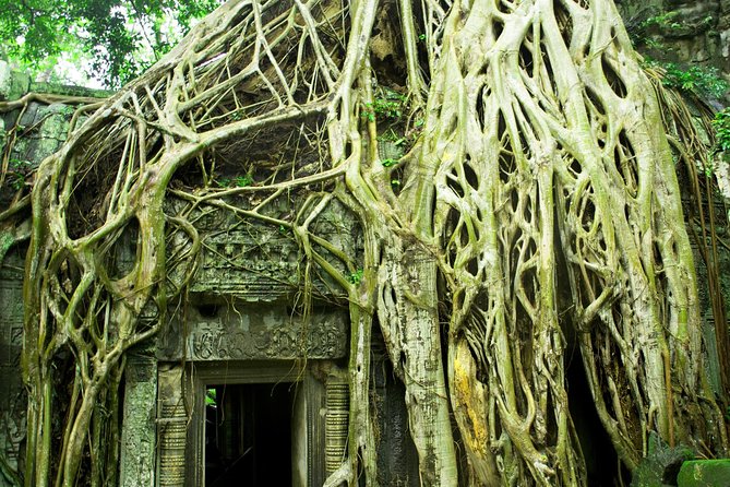 Angkor Wat Sunrise With E-Bike 1-Day Tour - Cancellation Policy