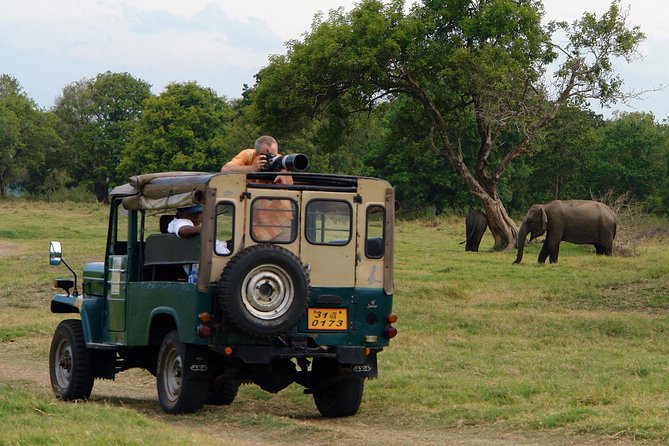 Animal Kingdom - UDAWALAWE Day Tour - Location and Inclusions