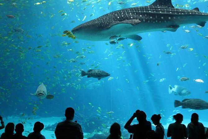Antalya Aquarium With Entrance and Roundtrip Transfer From Alanya