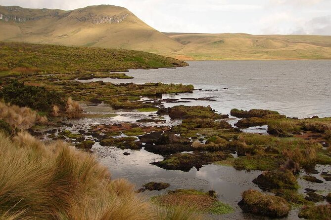 Antisana Volcano Private Tour; Birding and Hike in the Andes - Inclusions and Exclusions