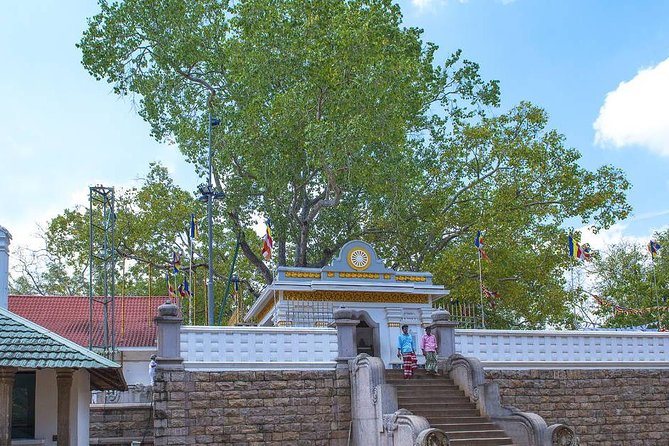 Anuradhapura Private Day Trip From Colombo, Negombo, Or Katunayaka - Meeting and Pickup Details