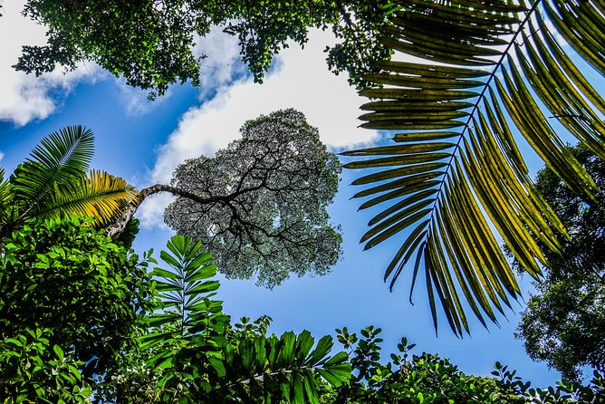 Arenal Hanging Bridges