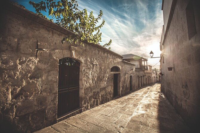 Arequipa Private City Tour and San Camilo Traditional Market - Itinerary Overview