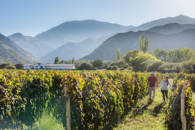 Argentinas Exclusive Wine Tasting Experience in Cafayate, Salta - Wine Locations and Pricing