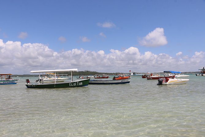 Aries Beach Private Tour - Group 1 to 6 PAX - Leaving Maragogi - Transportation Information