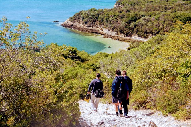Arrábida Snorkeling & Wine - Inclusions Overview