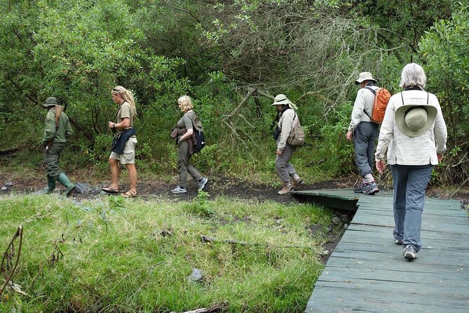 Arusha National Park (Best Suited for Family and Walking Safari) - Meeting and Pickup Details