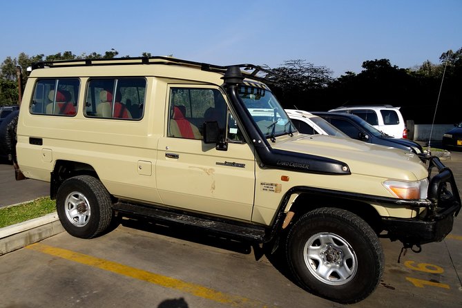 Arusha National Park Day Tour With Walking Safari & Canoeing - Walking Safari Experience