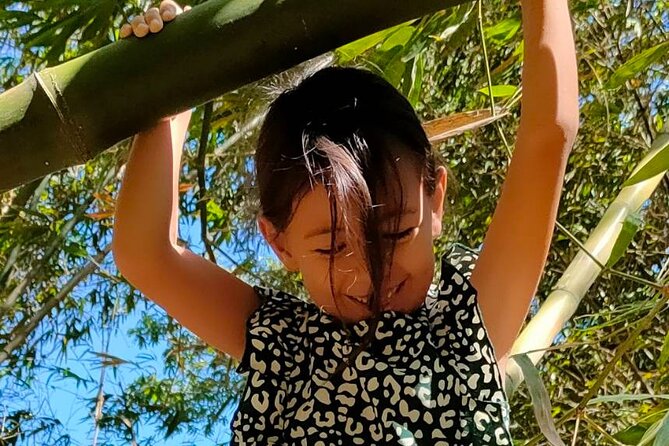 Asalanta Bamboo Forest Bathing - Additional Information