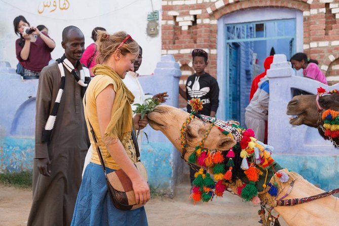 Aswan City Private Tour By Horse Carriage - Tour Details