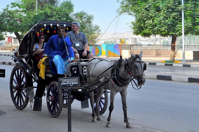 Aswan City Tour on Horse Carriage - Exclusions