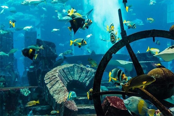Atlantis Aquaventure & The Lost Chamber Dubai Combo - Ticket Inclusions