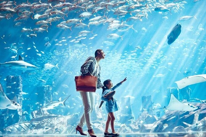 Atlantis Lost Chamber Admission Entry Tickets - Location and Inclusions