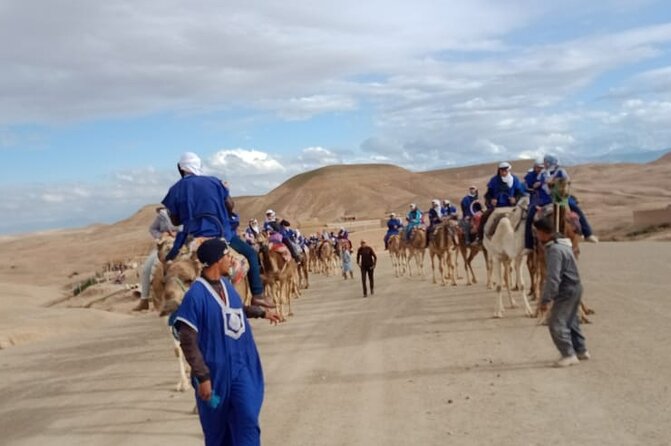 Atlas Mountains and Sunset Camel Ride - Tour Highlights