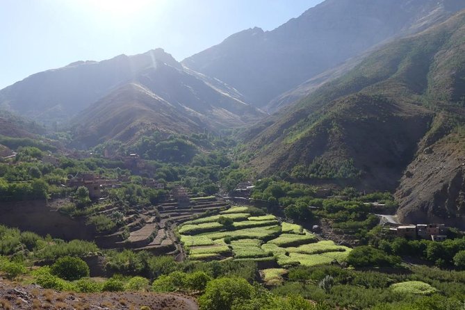 Atlas Mountains & Berber Villages & Waterfalls: Guided Day Tour From Marrakech - What to Expect