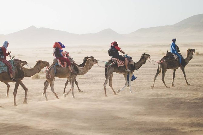 Atlas Mountains & Three Valleys, Camel Ride, Waterfalls, Day Trip Marrakech - Camel Riding Experience