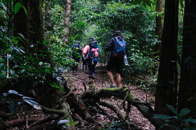 Aural Mountain Trek: Cambodia Tallest Peak Challenge - Start Time and Additional Info