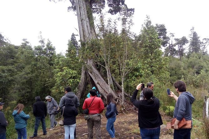 Austral / Hornopiren Road Tour - Additional Information